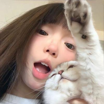 茶啊二中第四季