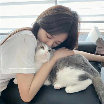 铁甲小宝