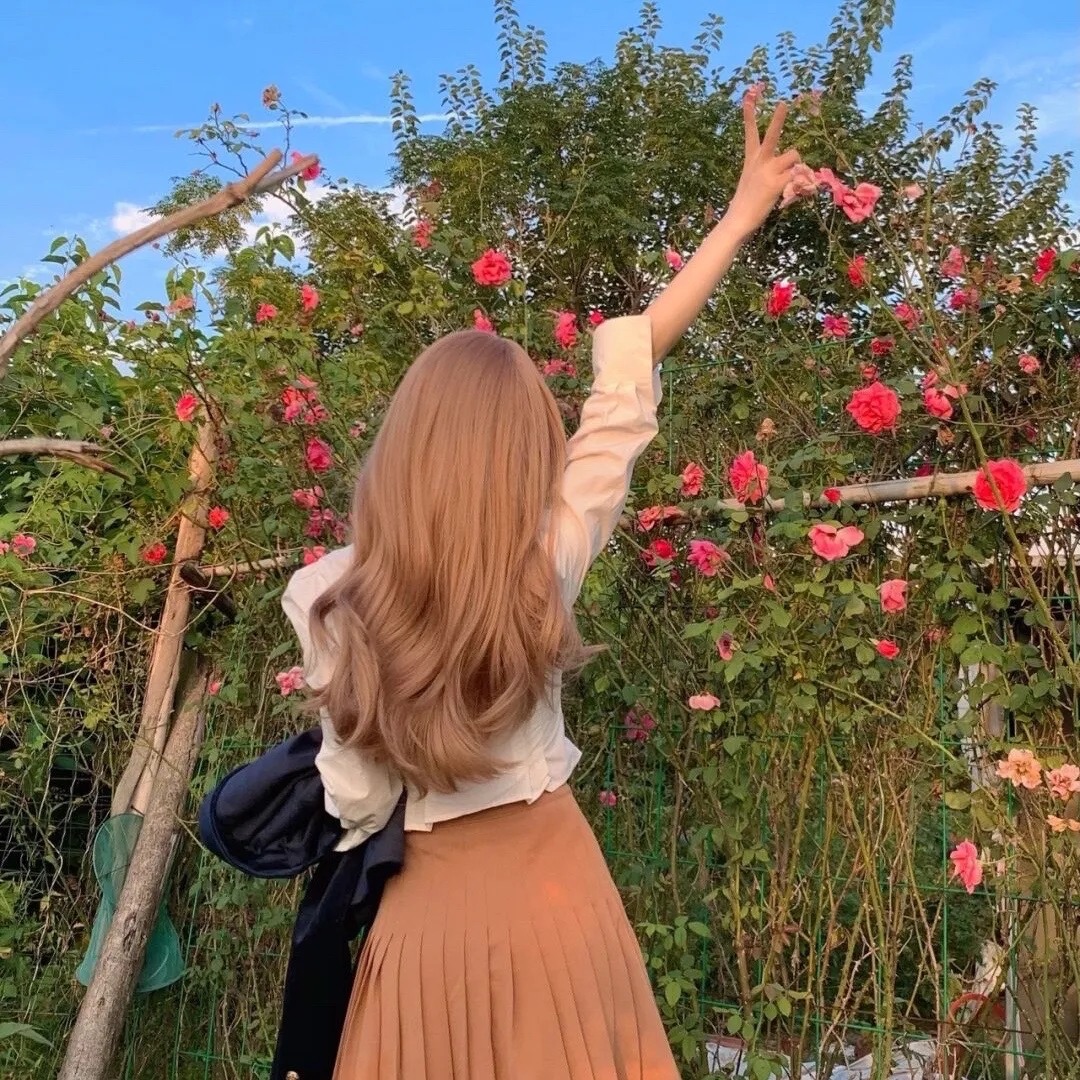 云深终见月团圆