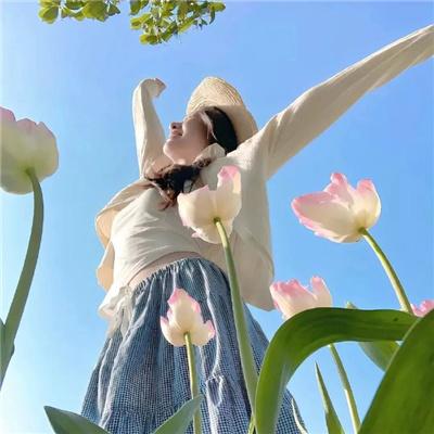 马蒂亚斯与马克西姆